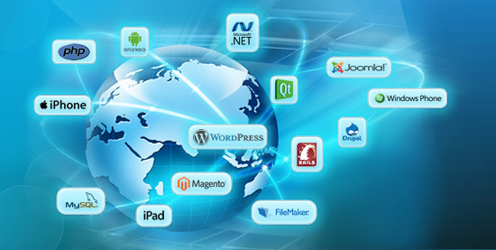 Top Quality Web Development Company In Pakistan | PLC Expertise